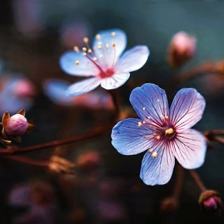 사춘기 아들이 방문을 닫아버렸어요